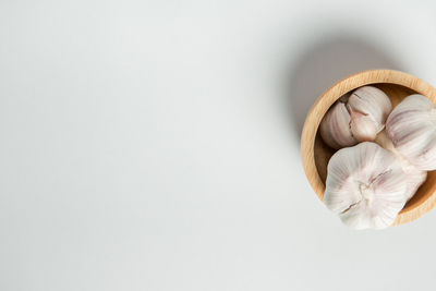 High angle view of garlic on white background