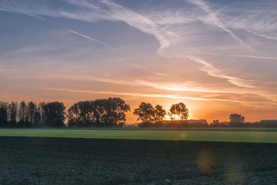 Scenic view of field against sky during sunset