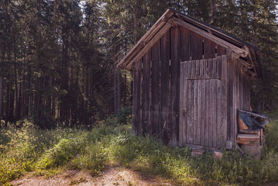 Old wooden house on field in forest