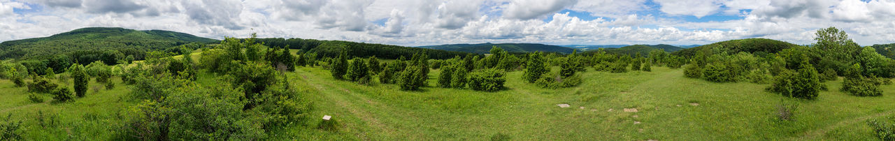 Panoramic shot of trees on landscape against sky