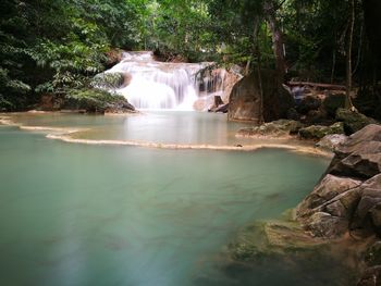 Scenic view of waterfall in forest