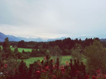 Scenic view of field against cloudy sky