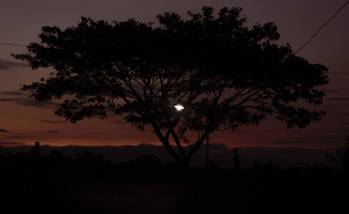 Silhouette tree against sky during sunset