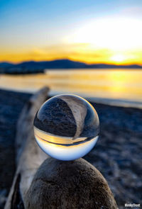 Close-up of pebbles on rock at beach against sky during sunset