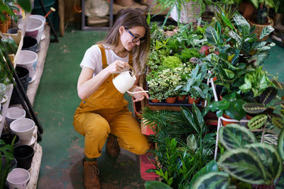 Young gardener girl work in glasshouse water potted houseplants. female florist care of house plants