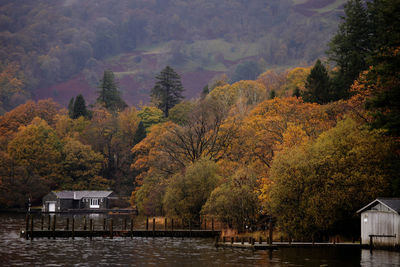 Scenic view of lake in forest during autumn