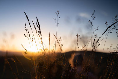 Scenic view of sunset