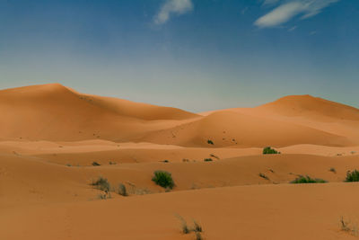 Scenic view of desert against sky