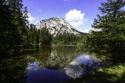 Scenic view of lake by trees against sky