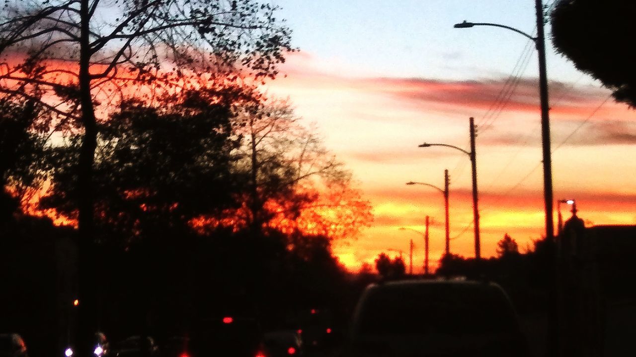 SILHOUETTE OF TREES AGAINST SKY AT SUNSET