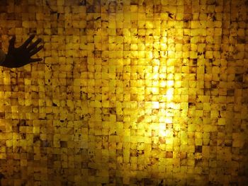 Close-up of yellow flower on brick wall