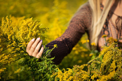 Cropped hand of woman holding plant