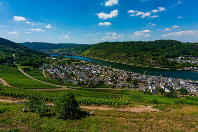 Panoramic view of the moselle vineyards, germany. alken on the moselle.