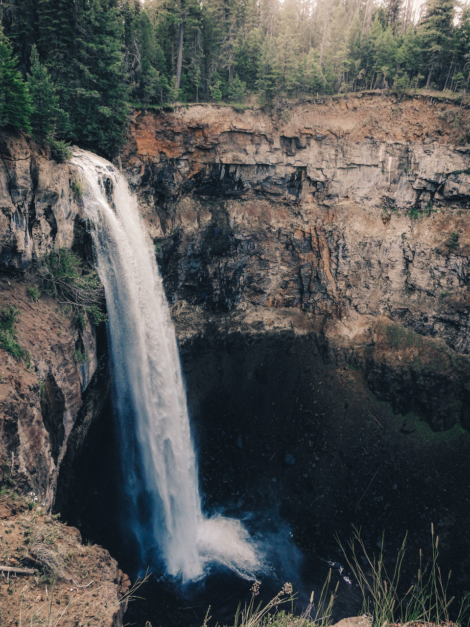 WATER FLOWING THROUGH ROCKS IN FOREST