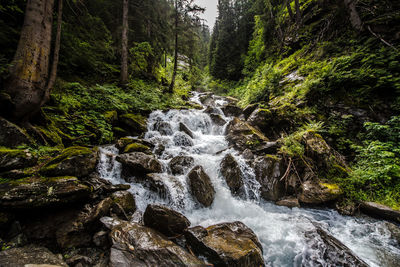 Stream flowing through rocks in forest