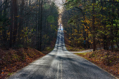 Road amidst trees in forest during autumn