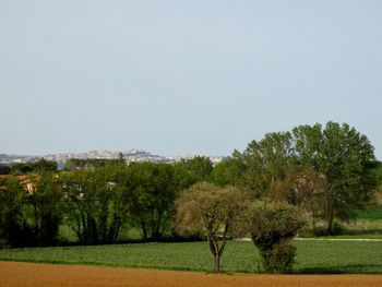 Trees on field against clear sky
