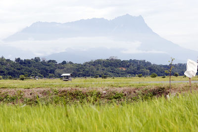 Scenic view of field against mountains