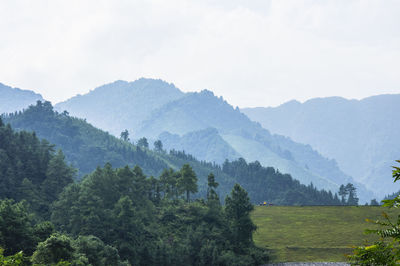 Scenic view of forest and mountains against sky