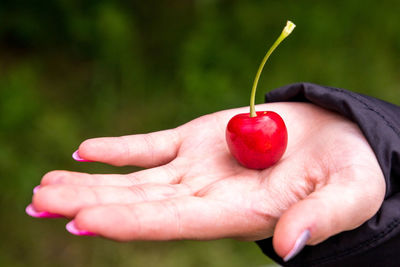 Close-up of hand holding strawberry