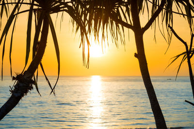 Silhouette tree by sea against sky during sunset