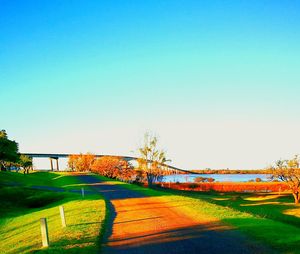 Scenic view of field against clear blue sky