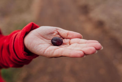 Cropped hand holding black olive outdoors