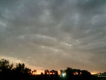 Low angle view of silhouette trees against sky at night