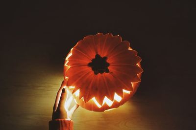 Close-up of illuminated flower on table