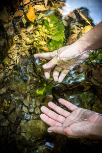 Close-up of hands in water