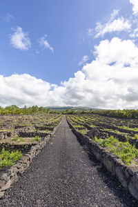 Road amidst field against sky