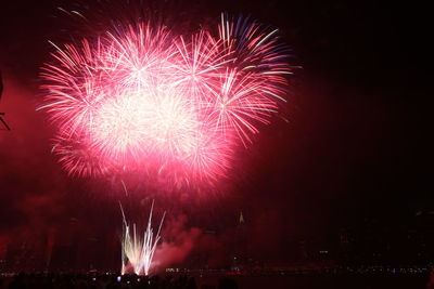 Low angle view of firework display at night