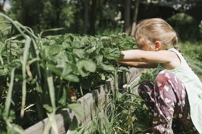 Rear view of woman on plants