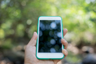 Cropped image of person holding mobile phone