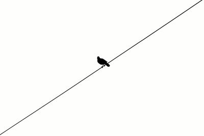 Low angle view of bird perching on cable against clear sky