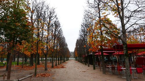 Empty road along trees