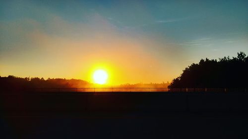 Silhouette of trees at sunset