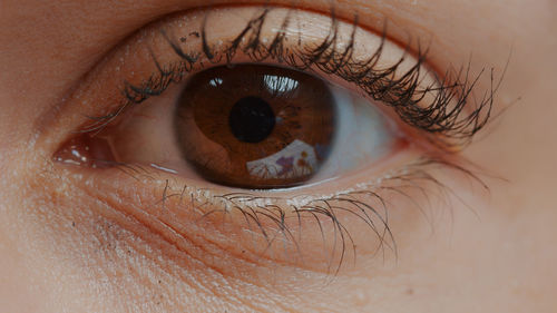 Cropped image of human eye