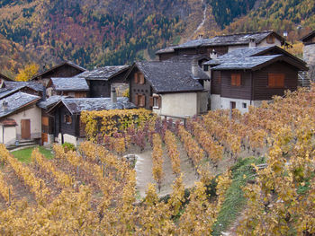 Houses on hill