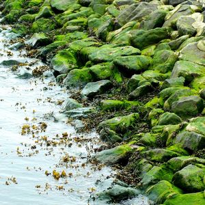 Rocks in water