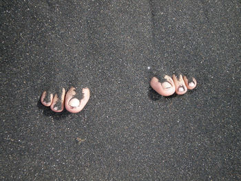 Low section of person standing on road