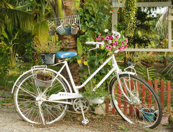 Bicycle parked by plants