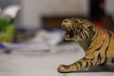 Close-up of cat sculpture