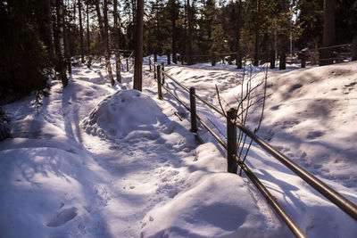 Snow covered field by trees