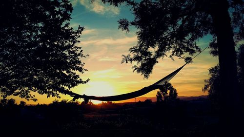 Silhouette of trees at sunset