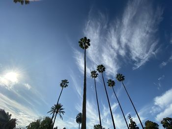 Low angle view of coconut palm trees against sky