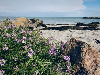 Scenic view of sea against cloudy sky