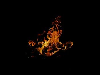 Close-up of bonfire against black background