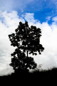 Low angle view of silhouette tree against sky