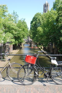 Bicycle on street against trees in city